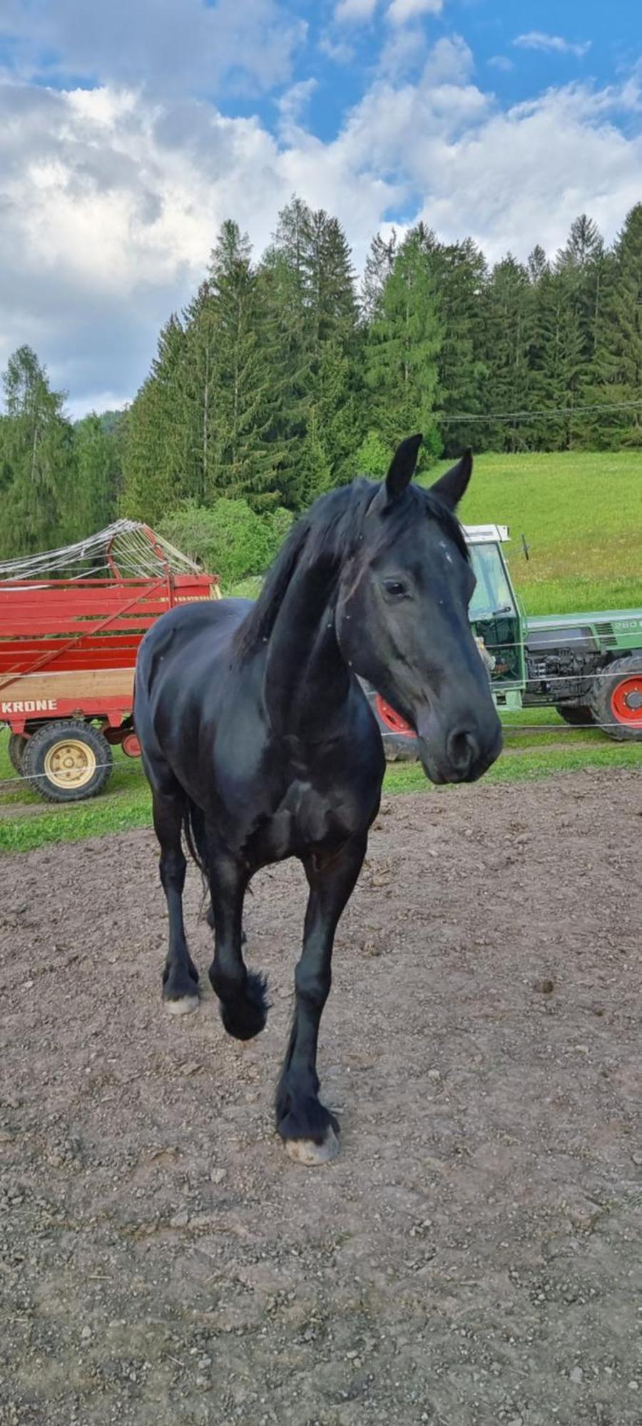 Hoelzlhof Brunico Eksteriør bilde